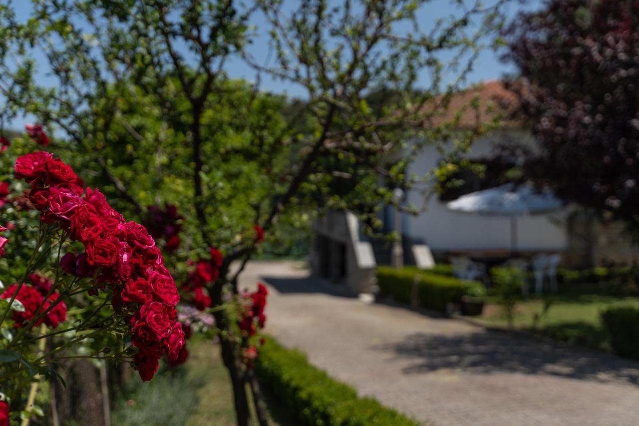Sotiria House Apartment Sea View Lovely Garden イエリソス エクステリア 写真